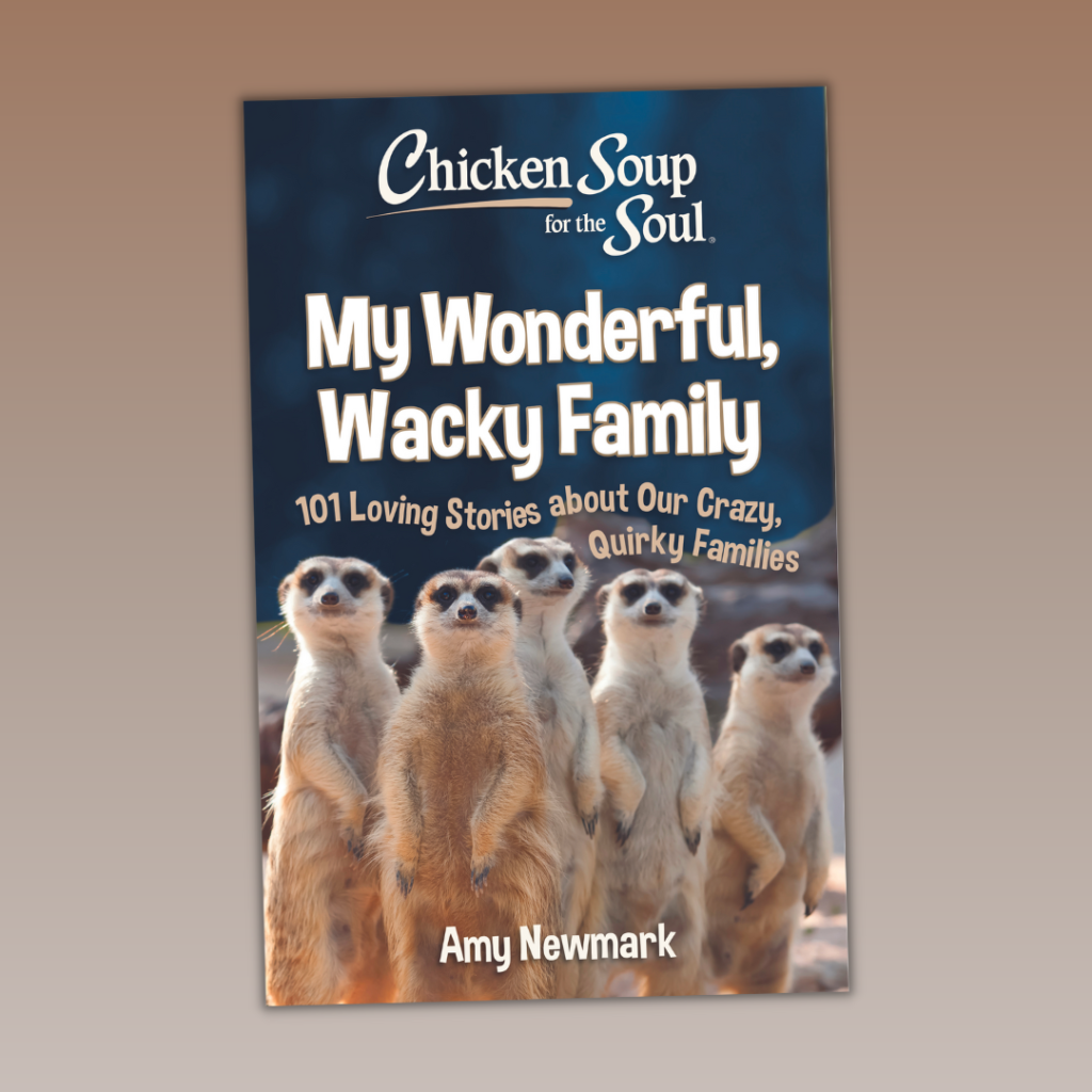 Chicken Soup for the Soul, My Wacky, Wonderful Family