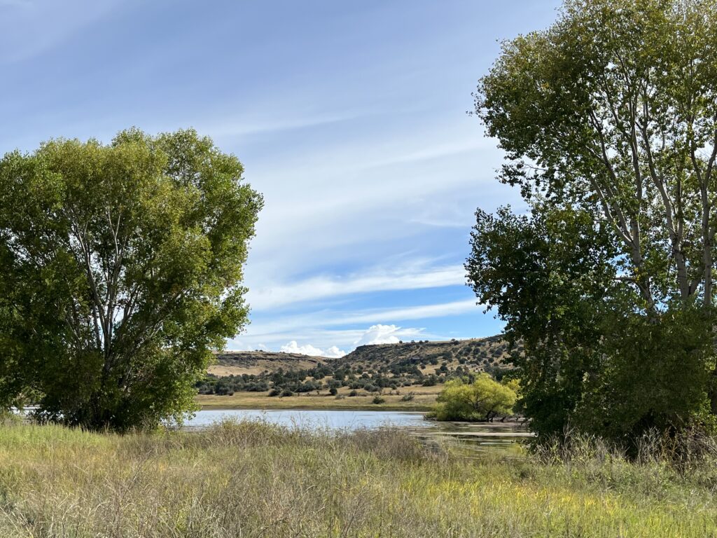 Watson Lake A